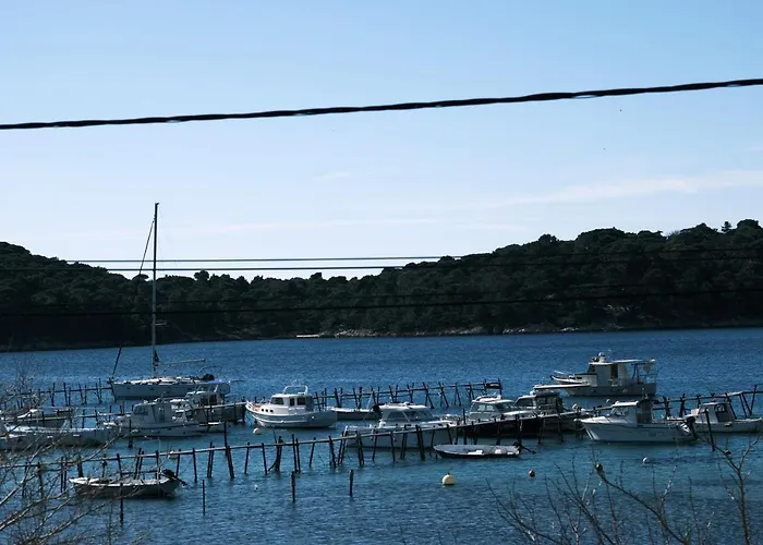 By The Sea Palit, Rab - 22493 Lägenhet